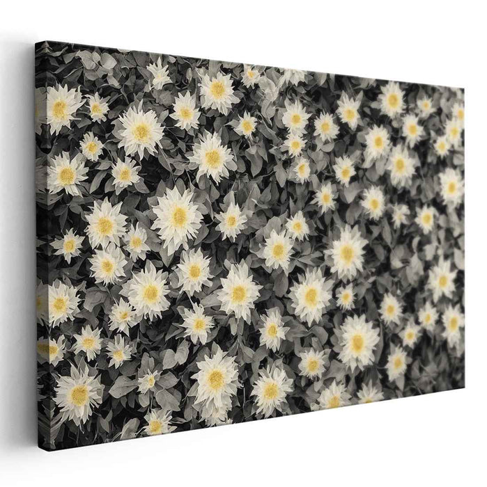 Elegant Monochrome Sunflowers: Timeless Botanical Canvas Art Print
