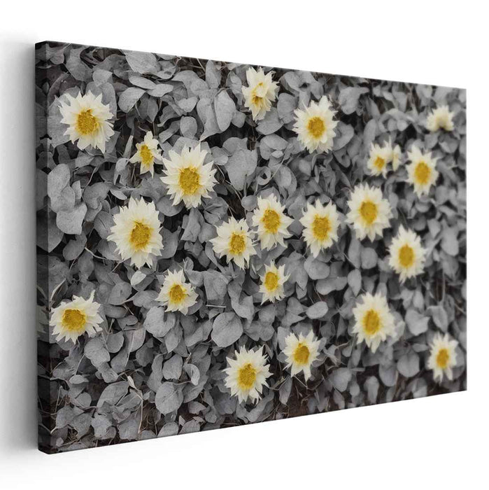 Gilded Whispers Amidst Shadows: Monochrome Garden with Golden Touches Canvas Art