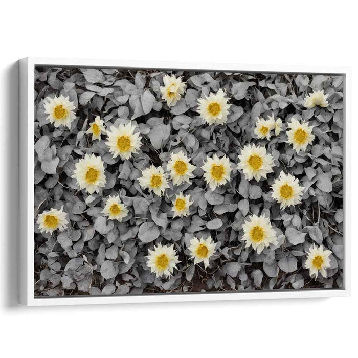 Gilded Whispers Amidst Shadows: Monochrome Garden with Golden Touches Canvas Art