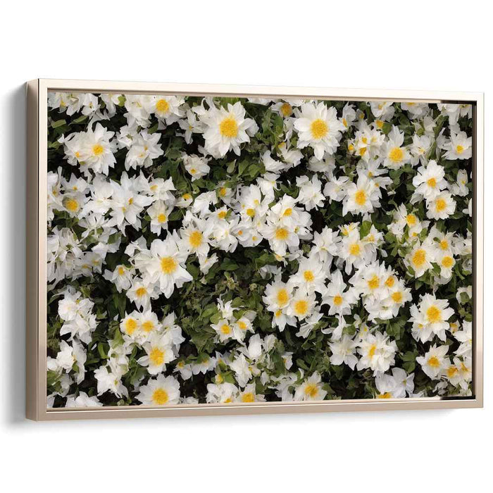 Vintage Daffodils #119