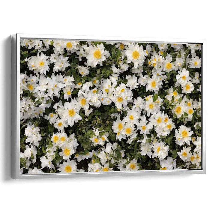 Vintage Daffodils #119