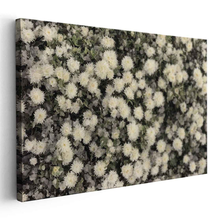 Aster Realism: Realistic Chrysanthemum Canvas Art Print
