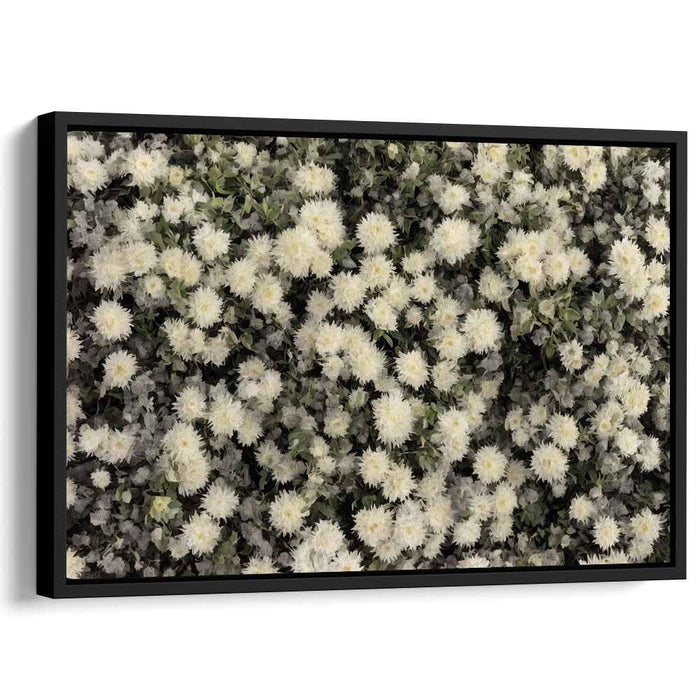 Aster Realism: Realistic Chrysanthemum Canvas Art Print