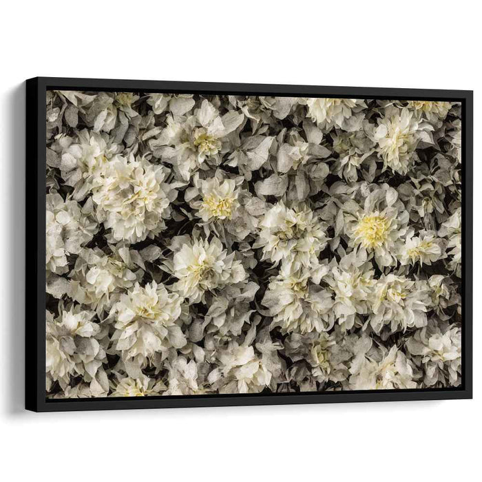 Elegant Monochrome Dahlia Bloom: Detailed Floral Canvas Art Print
