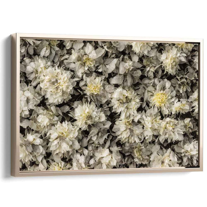 Elegant Monochrome Dahlia Bloom: Detailed Floral Canvas Art Print