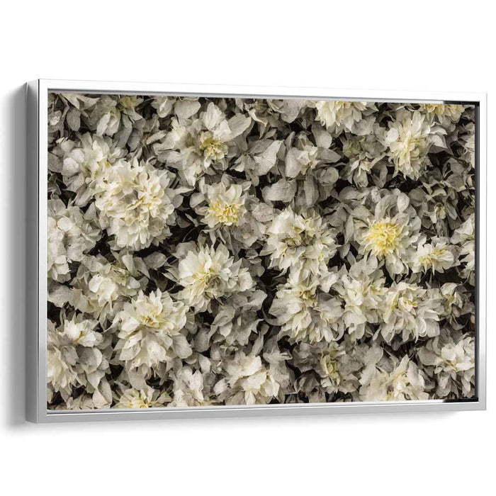 Elegant Monochrome Dahlia Bloom: Detailed Floral Canvas Art Print