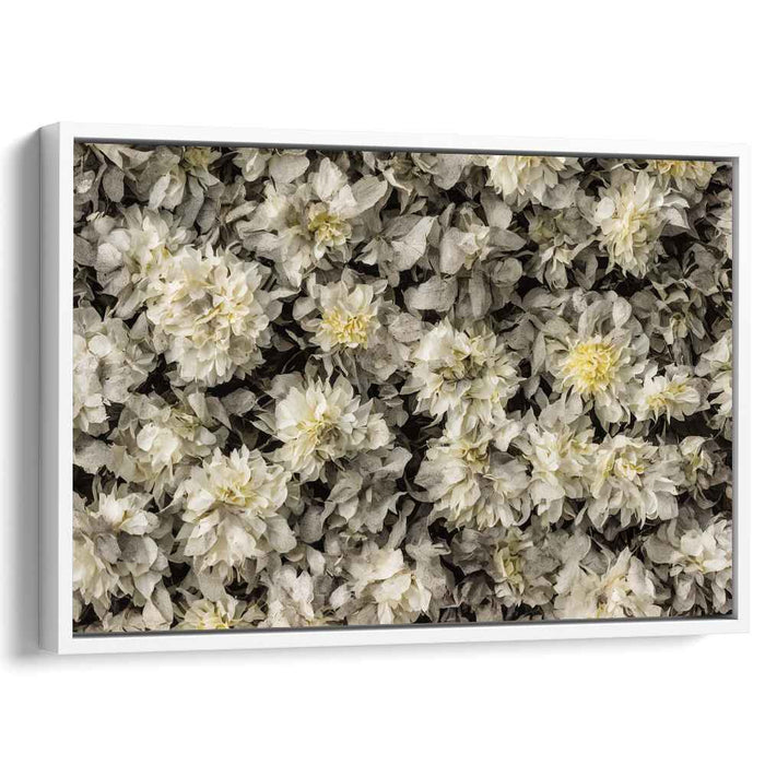 Elegant Monochrome Dahlia Bloom: Detailed Floral Canvas Art Print