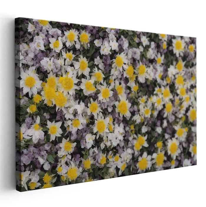 Vintage Daffodils #125