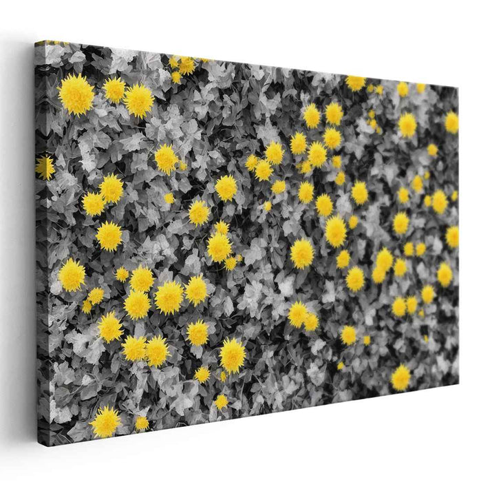 Vintage Daffodils #126