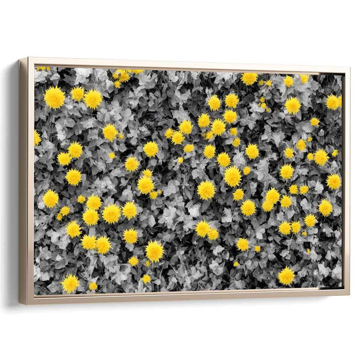 Vintage Daffodils #126