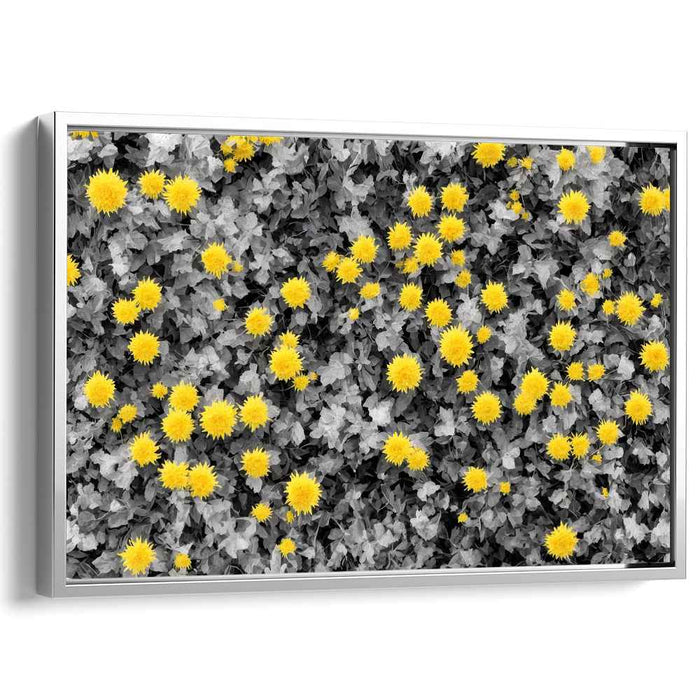 Vintage Daffodils #126