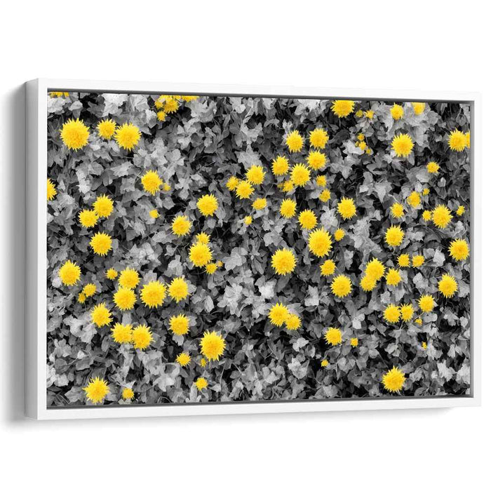 Vintage Daffodils #126