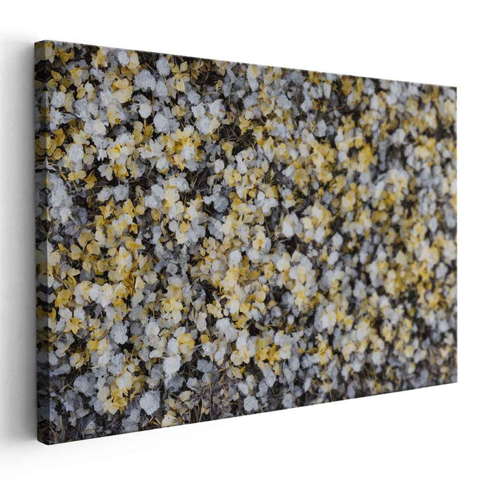 Vintage Daffodils #128