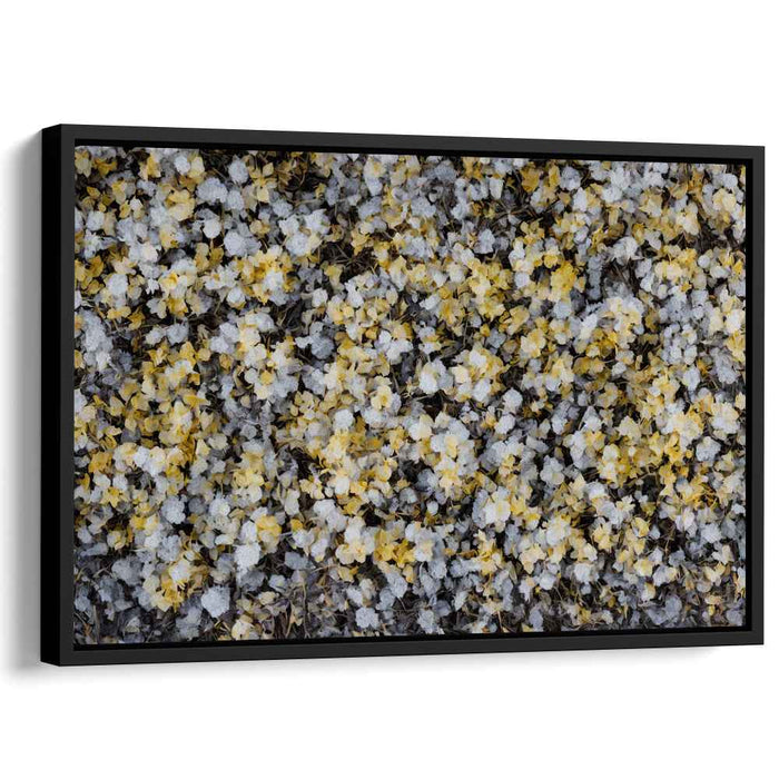 Vintage Daffodils #128