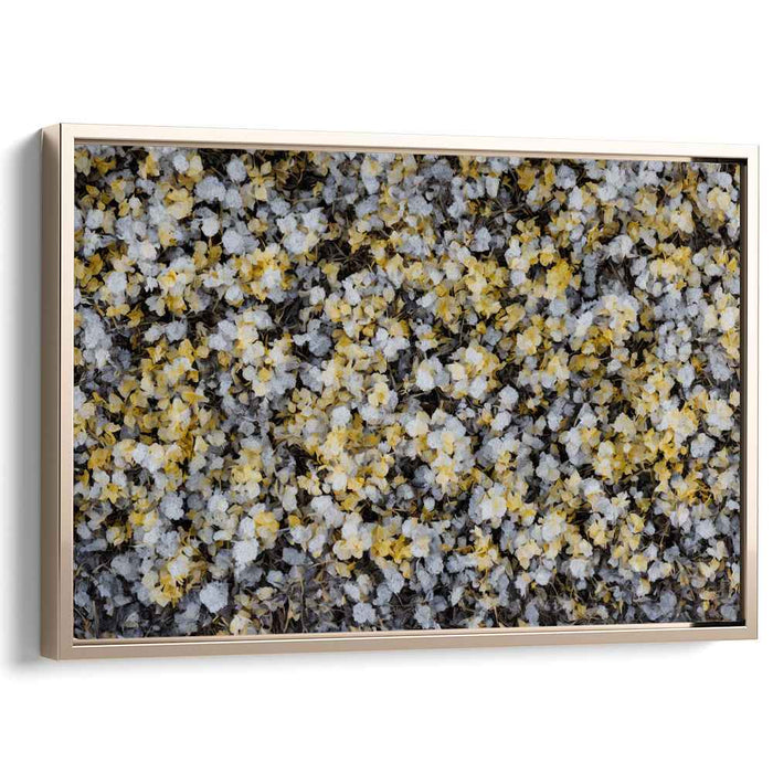 Vintage Daffodils #128