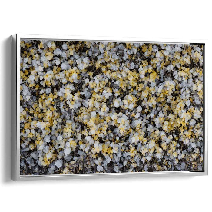 Vintage Daffodils #128