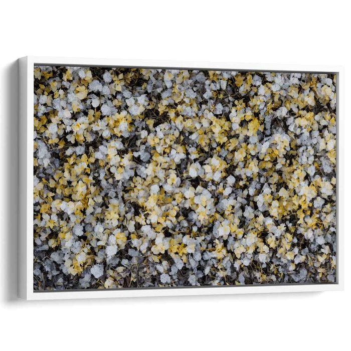 Vintage Daffodils #128