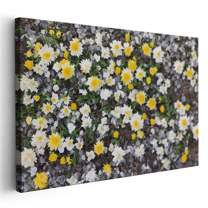 Vintage Daffodils #132