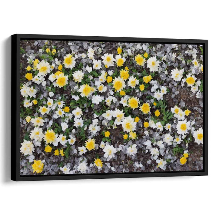 Vintage Daffodils #132