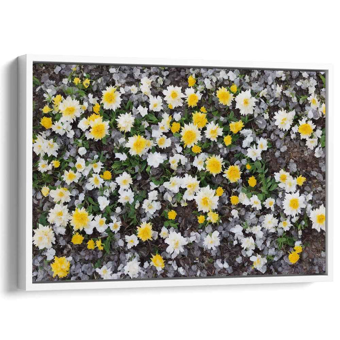 Vintage Daffodils #132