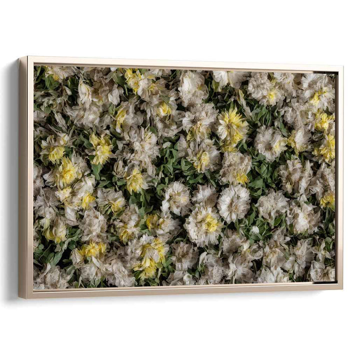 Vintage Daffodils #134