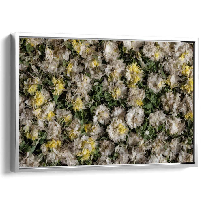 Vintage Daffodils #134