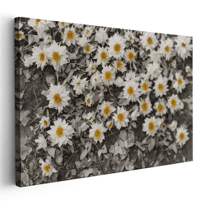 Timeless Sunflowers: Monochromatic Elegance in Sepia Tones Canvas Art Print