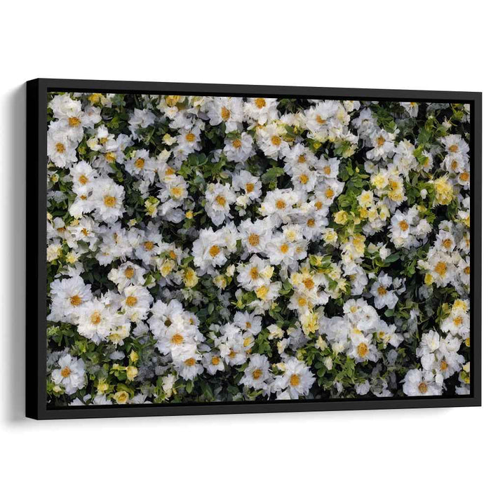 Vintage Daffodils #138