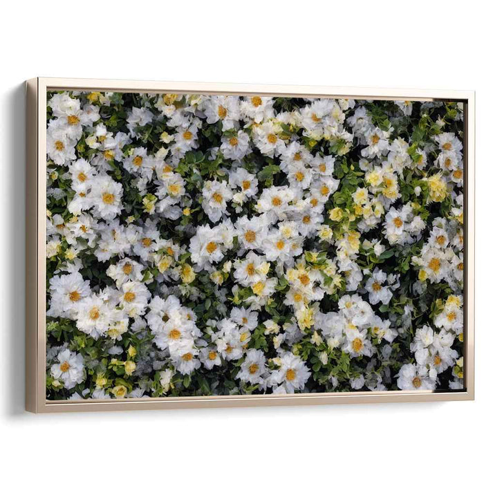 Vintage Daffodils #138