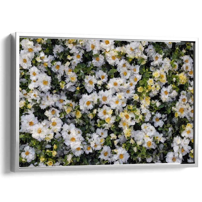 Vintage Daffodils #138