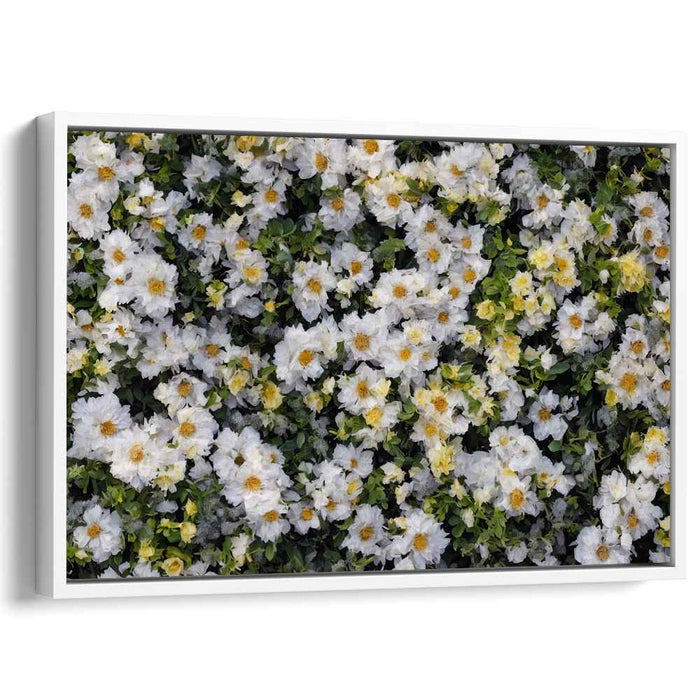 Vintage Daffodils #138