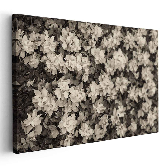 Vintage Petal Harmony: Sepia Tone Floral Canvas Art Print