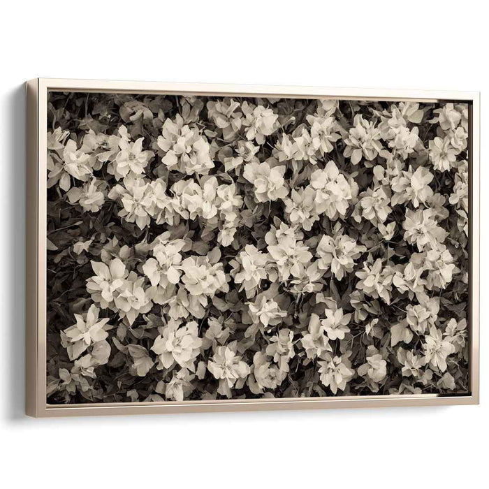 Vintage Petal Harmony: Sepia Tone Floral Canvas Art Print