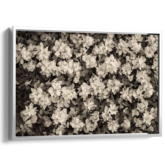 Vintage Petal Harmony: Sepia Tone Floral Canvas Art Print