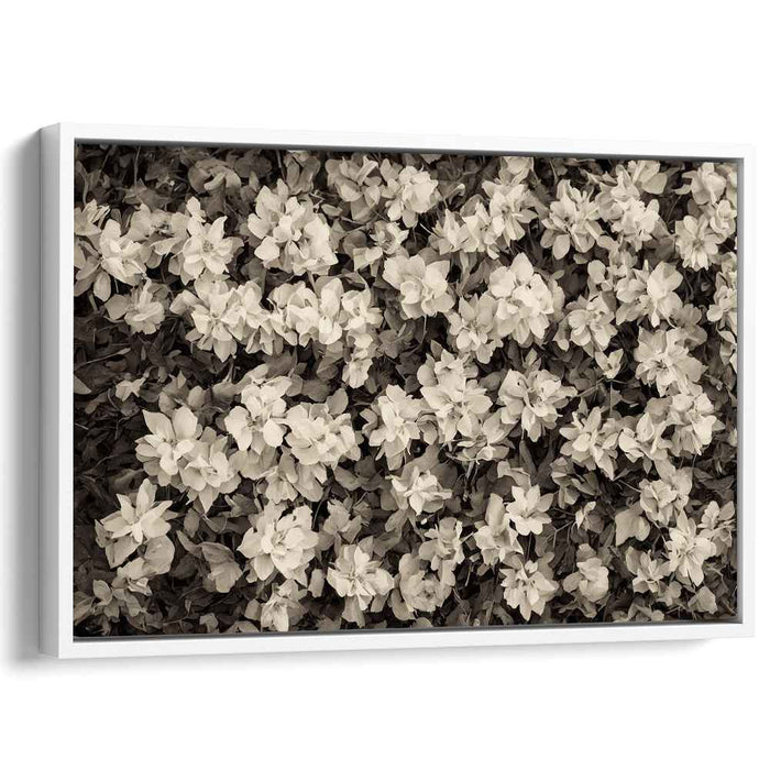 Vintage Petal Harmony: Sepia Tone Floral Canvas Art Print