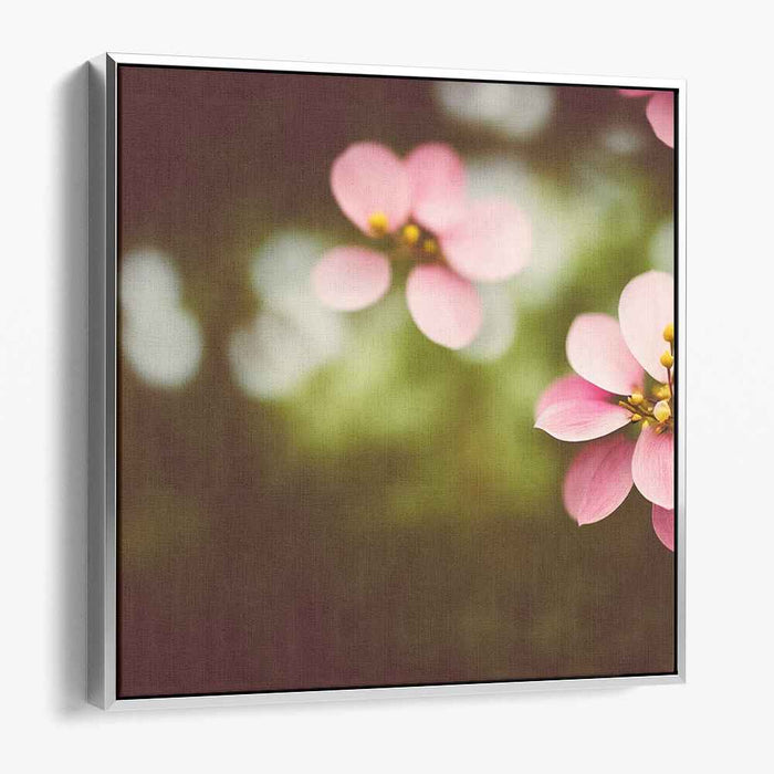 Vintage Dogwood #002