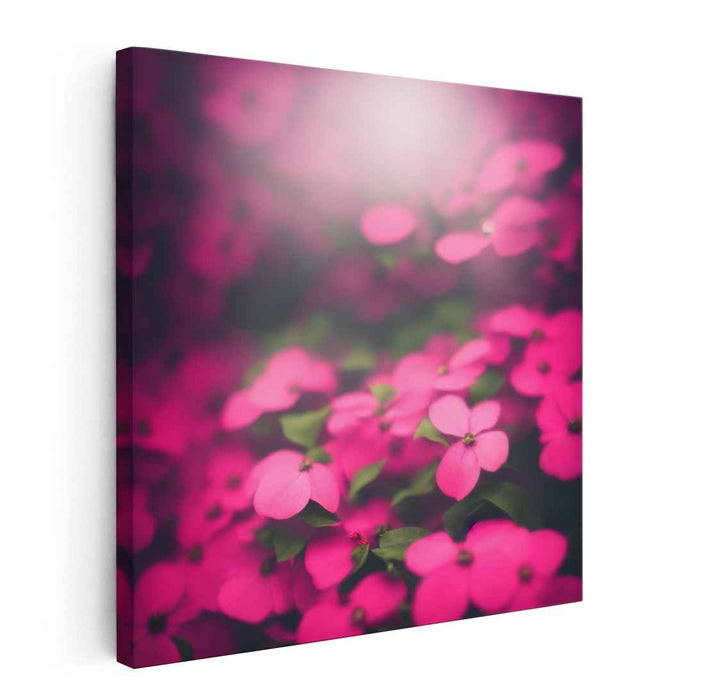 Whispering Petals Dream: Dreamy Pink Floral Canvas Art Print