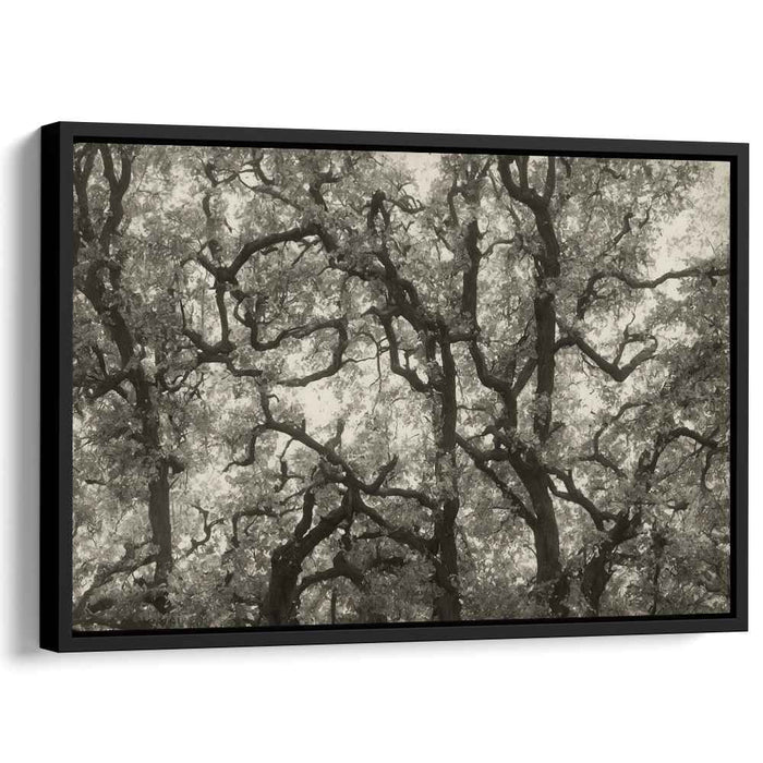 Vintage Dogwood #101