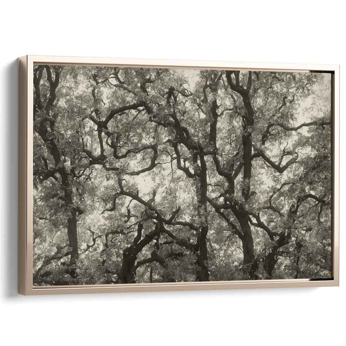 Vintage Dogwood #101