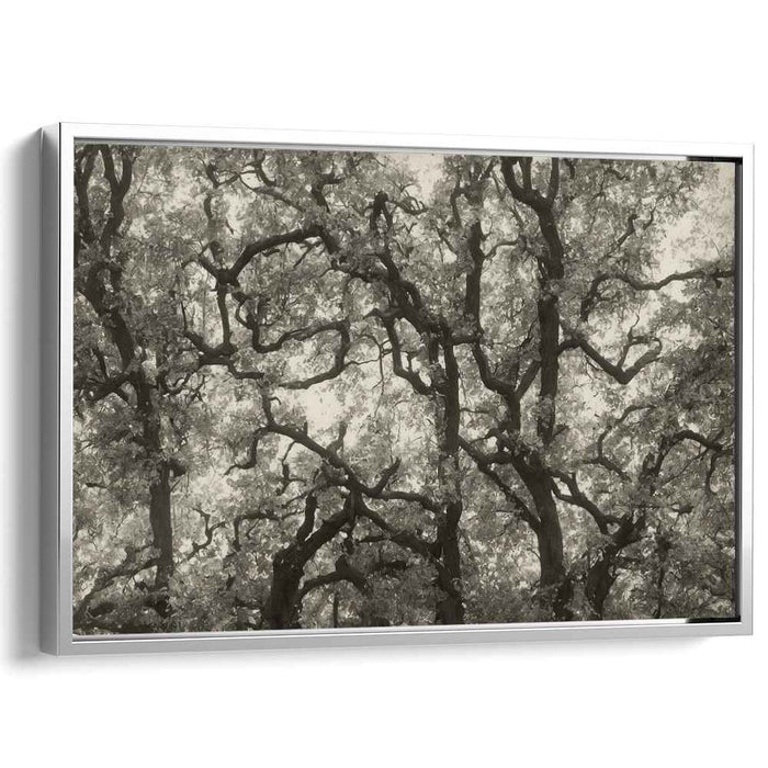 Vintage Dogwood #101