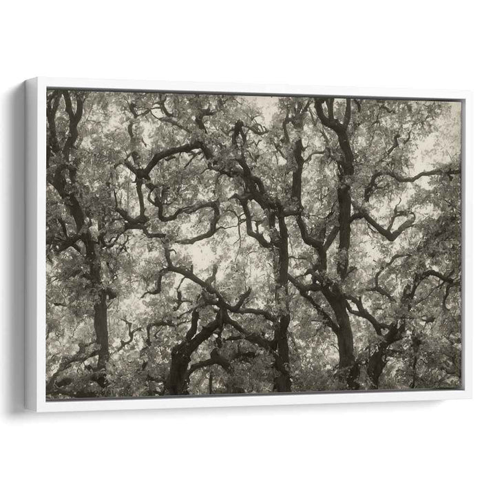 Vintage Dogwood #101