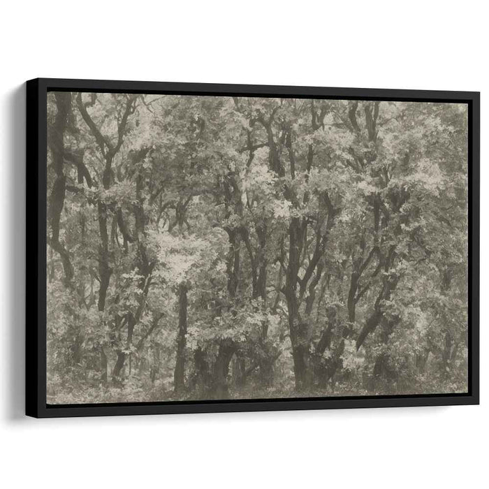 Shadows Whispering Among Trees: Monochromatic Forest Scene Canvas Art Print