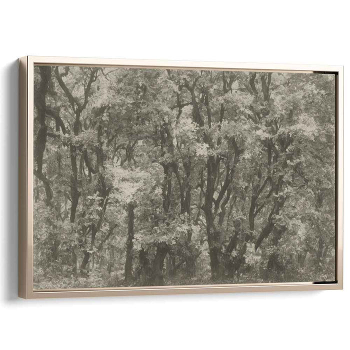 Shadows Whispering Among Trees: Monochromatic Forest Scene Canvas Art Print