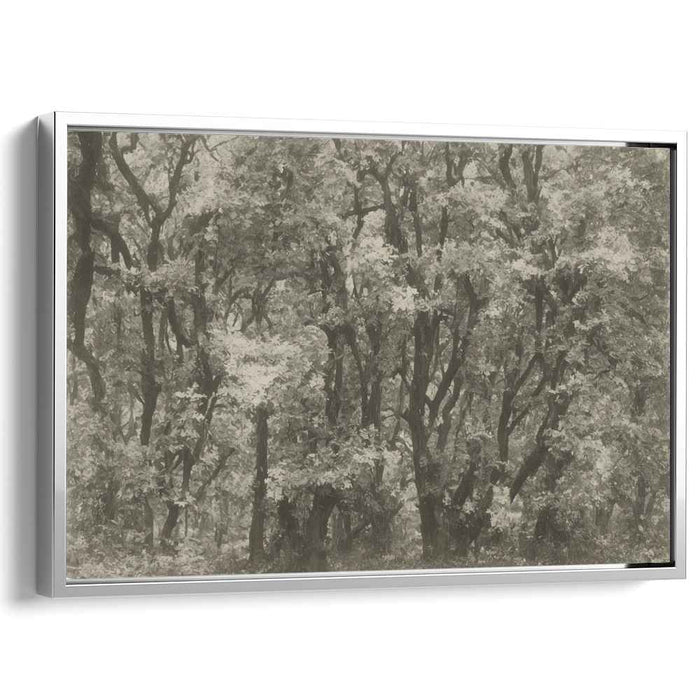 Shadows Whispering Among Trees: Monochromatic Forest Scene Canvas Art Print