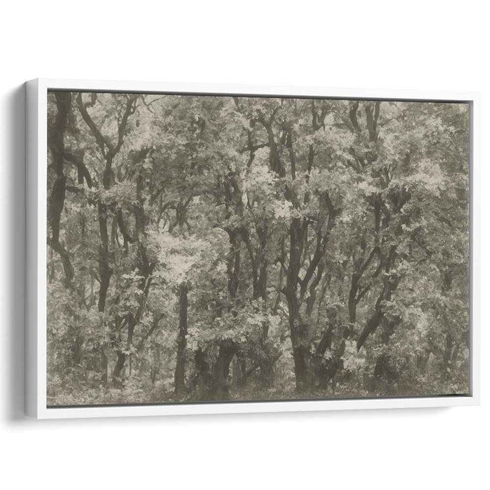 Shadows Whispering Among Trees: Monochromatic Forest Scene Canvas Art Print