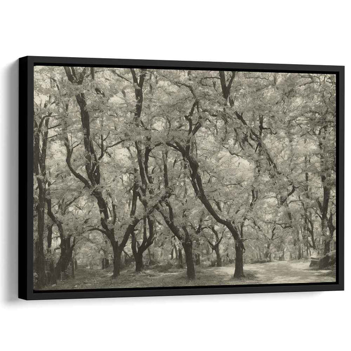 Vintage Dogwood #106