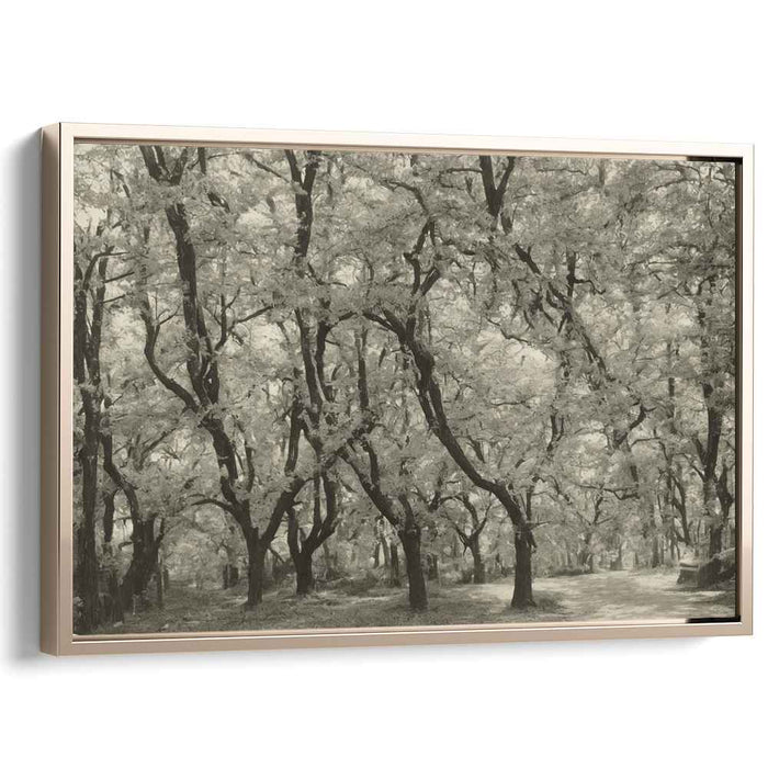 Vintage Dogwood #106