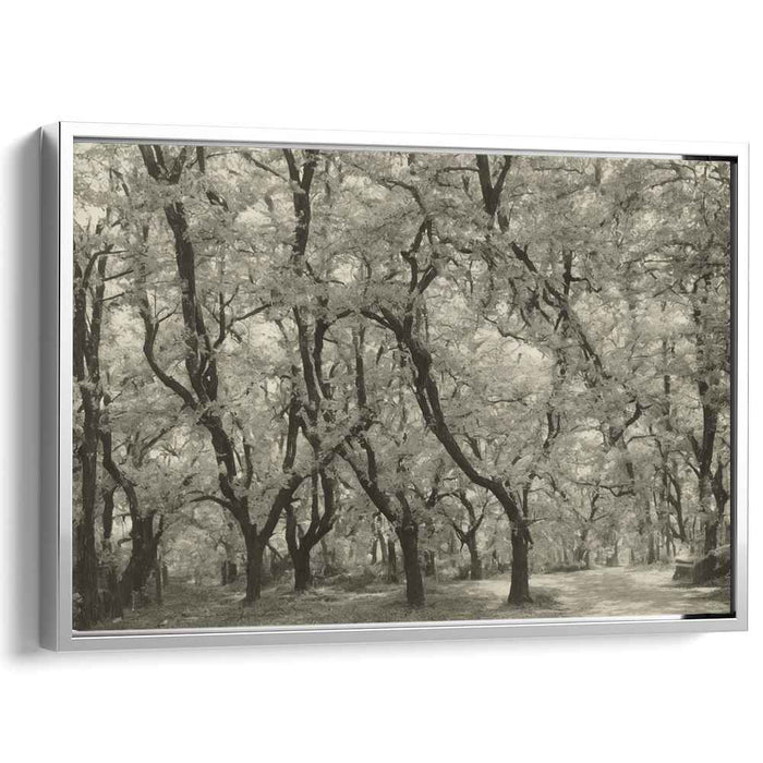 Vintage Dogwood #106