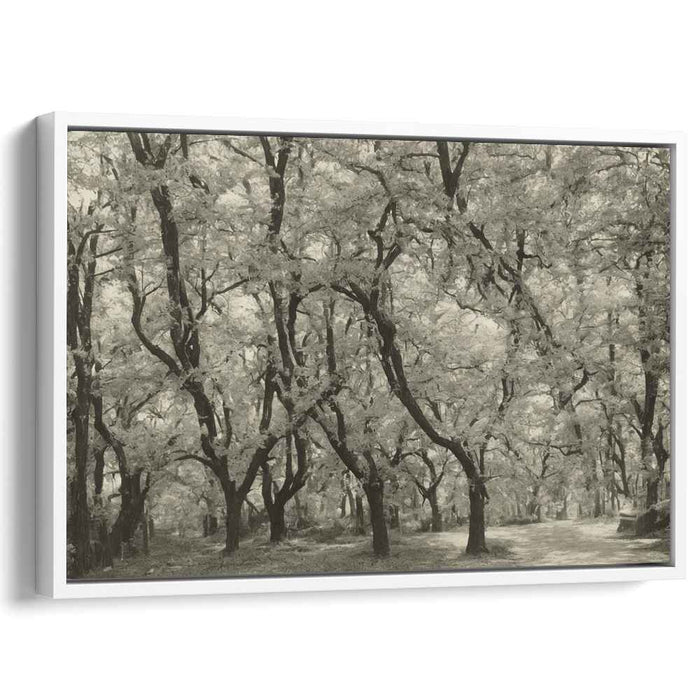 Vintage Dogwood #106