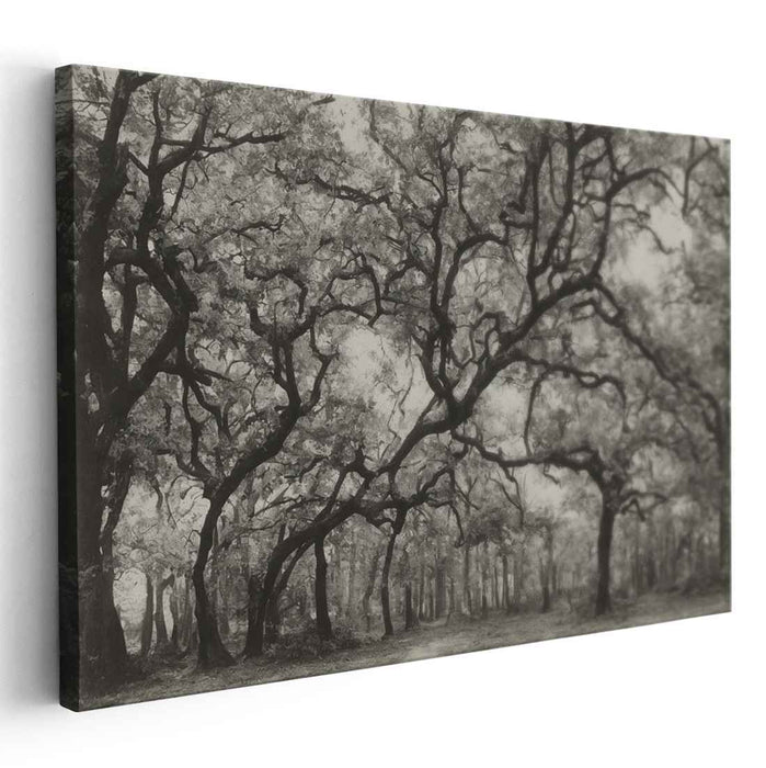 Ethereal Shades of Wilderness: Monochromatic Elegance in Nature Photography